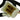 Universal Parts 6-Pin Thumb Throttle for Razor